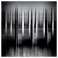 Boardwalk BW. (Click outside the image to close it).