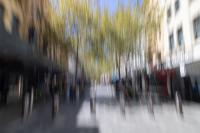 Murray Street mall 1. (Click outside the image to close it).