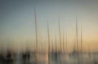 Sun Setters